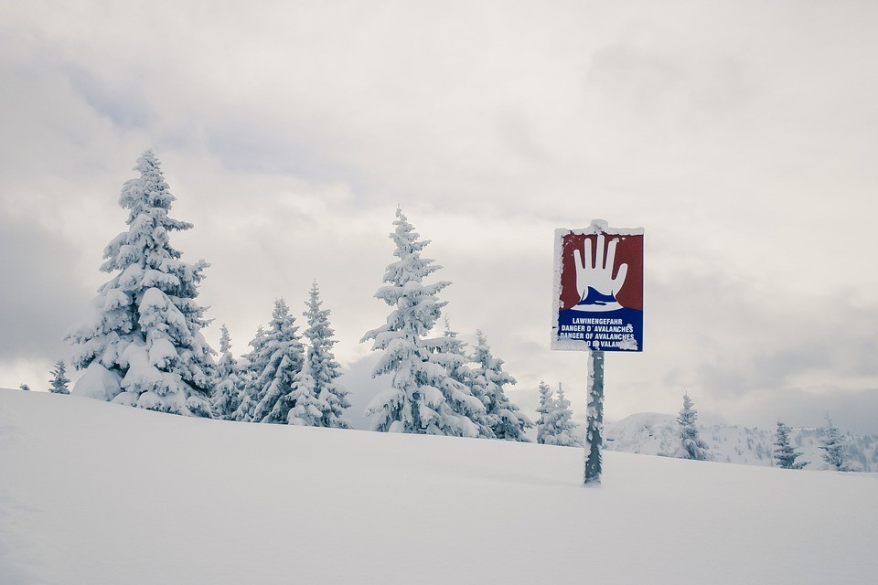 snowy landscape with snow-covered pine trees and a sign showing a danger of avalanche
