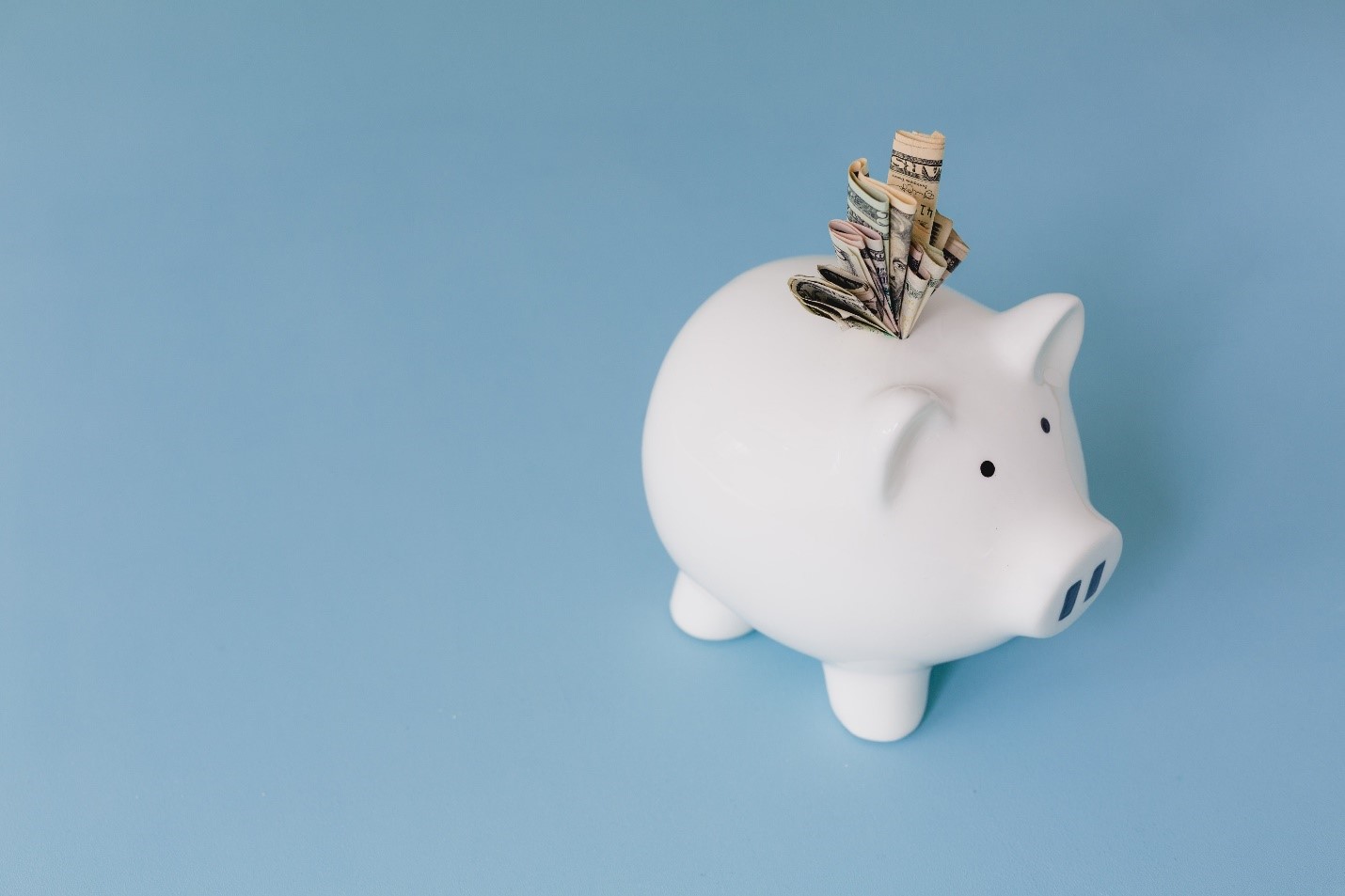 white porcelain piggy bank with several folded American dollar bills on a blue background